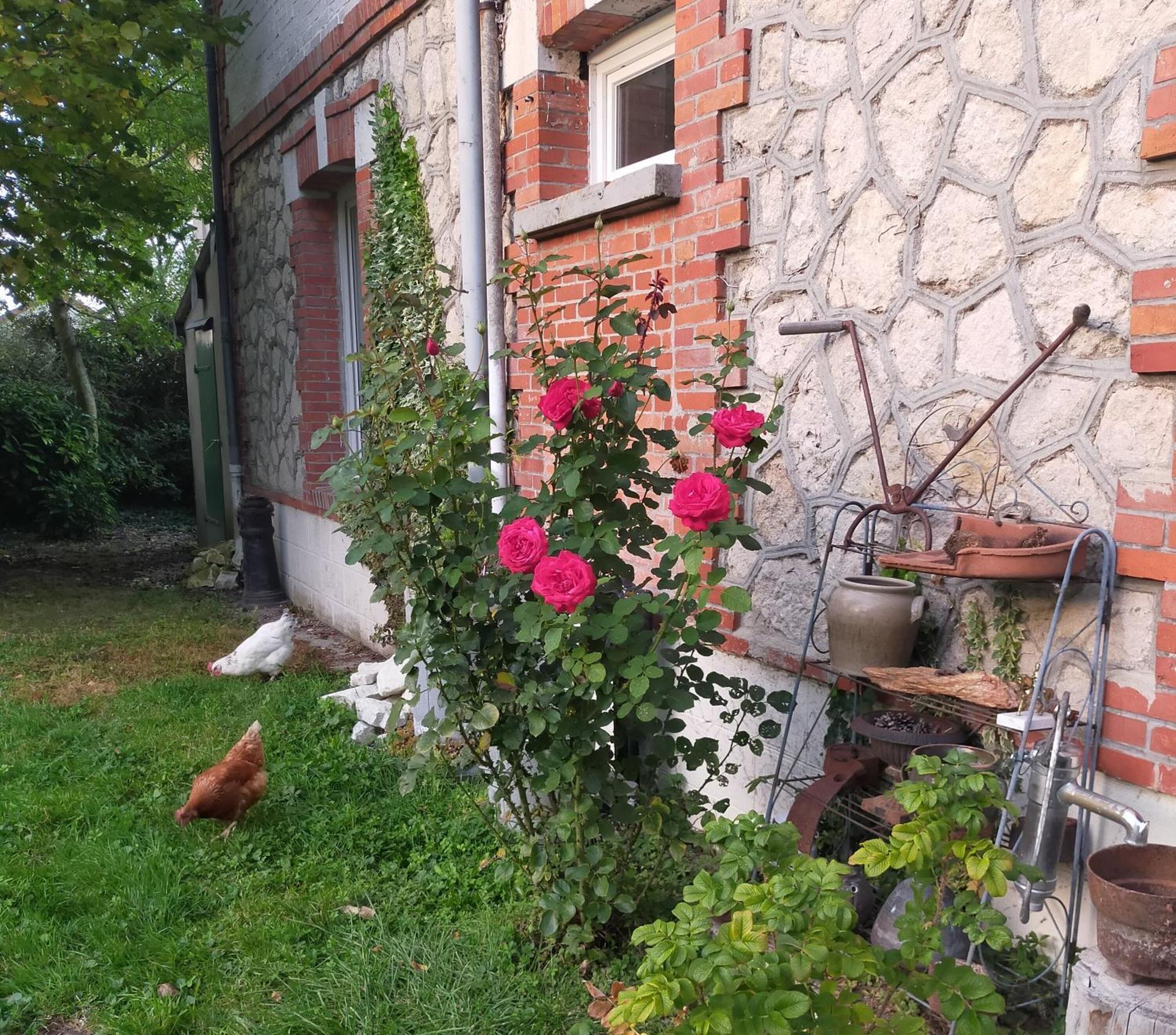 Apartmán Logis51 Ville-sur-Tourbe Exteriér fotografie